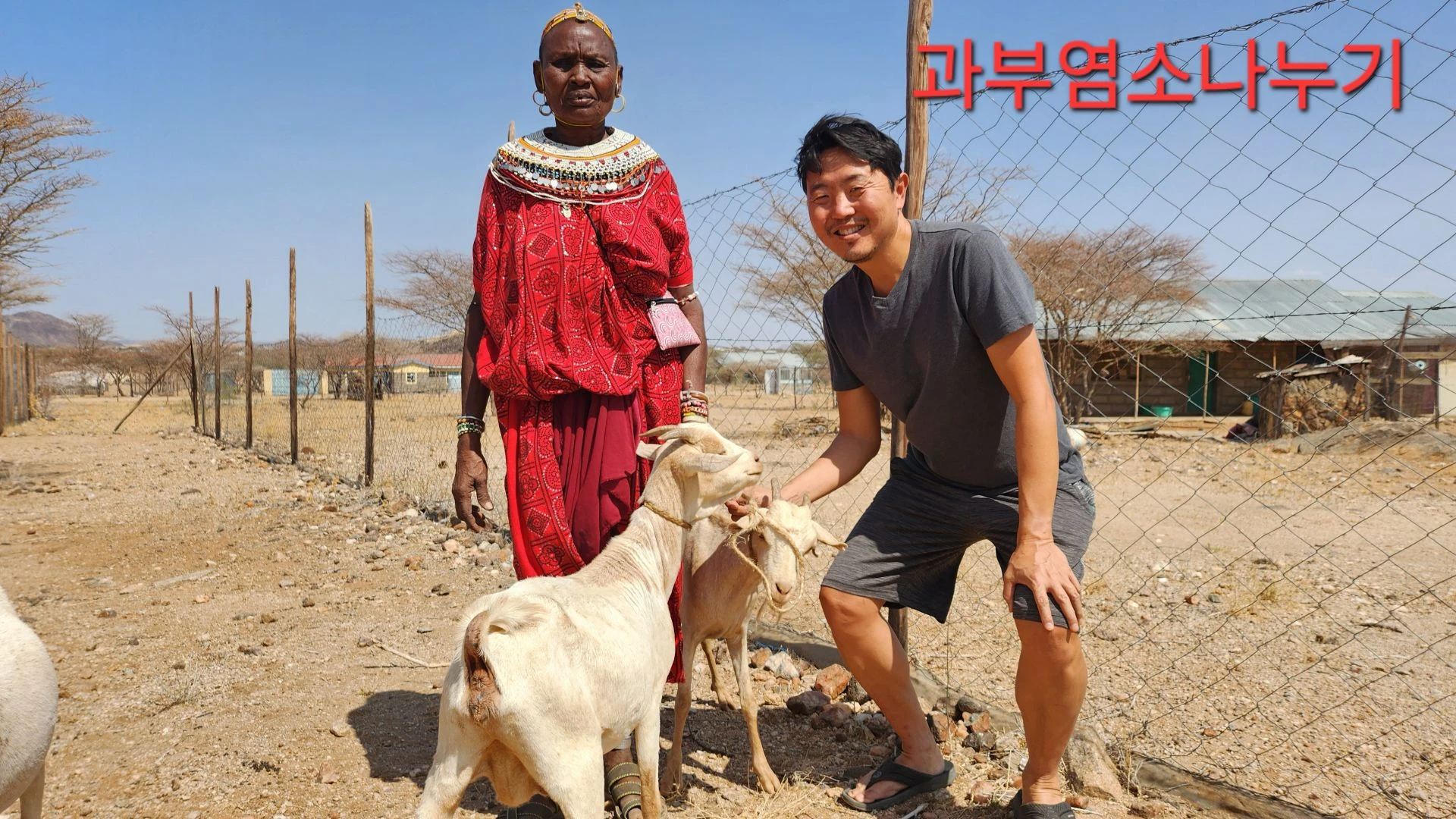 Sharing goats with widows